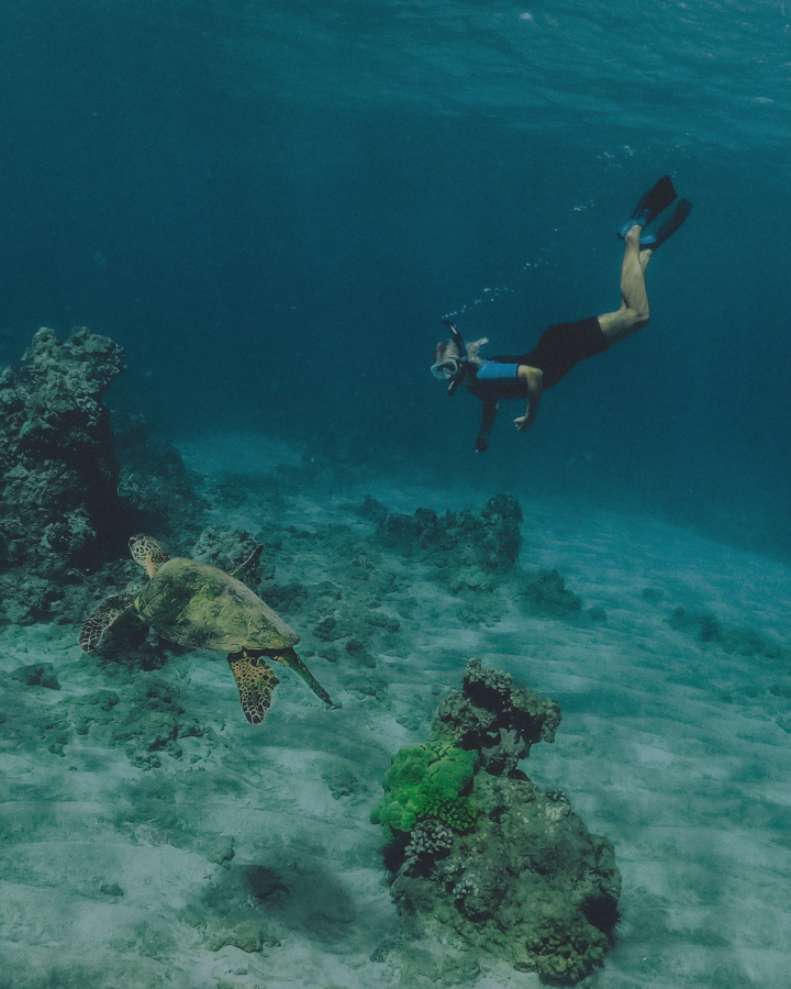 Scuba Diving